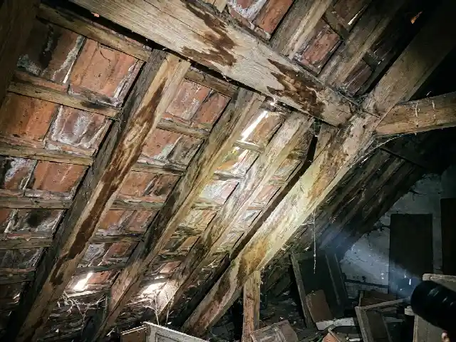 Chevrons tachés d'humidité vus depuis les combles d'une maison ancienne